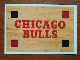 ST 1 - NBA SEASONS 2019-20, Sticker, Autocollant, PANINI, No.95, Team Name, Chicago Bulls - 2000-Aujourd'hui