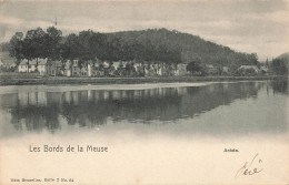 BELGIQUE - Les Bords De La Meuse - Vue Sur La Ville D'Ahnée - Carte Postale Ancienne - Anhée