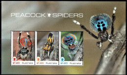 Australia 2023. Peacock Spiders - Nuevos