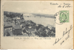 _Op 538: TEMSCHE - Tamise Zicht Der Schelde - Vue Sur L'Escaut N° 208 Editions De Ruy 1899 - Temse