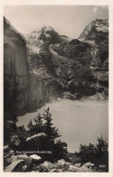 SUISSE - Oeschinensee See B. Kandersteg - Lac - Montagnes - Forêt - Carte Postale Ancienne - Berne