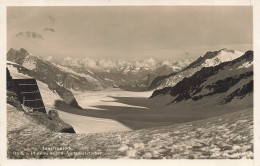 SUISSE - Jungfraujoch - Blick V Plateau Gegen Aletschgletscher - Montagnes Enneigées - Carte Postale Ancienne - Berne