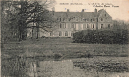 FRANCE - Surzur - Le Château Du Grégo - Collection David, Vannes - Carte Postale Ancienne - Sonstige & Ohne Zuordnung