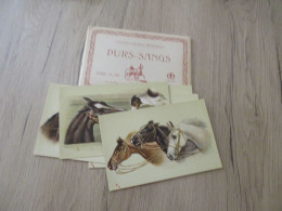 X6 CPA Série N°286 Vienne Purs Sangs Chevaux Horse Dans Leur Pochette D'origine Rare Illustrateur état Sup!!! - Horses