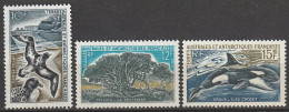 Terres Australes Et Antartiques Françaises Damier Du Cap Phylica Orque N°28/30 **neuf - Neufs