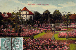 FRANCE - Saverne - Jardin Des Roses - Colorisé - Carte Postale Ancienne - Saverne