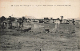 MAROC - Marrakech - Vue Générale D'une Palmeraie Aux Environs De Marrakech - Carte Postale Ancienne - Marrakech