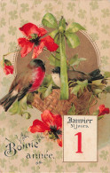 FÊTES ET VOEUX - Bonne Année - Janvier 1 - Oiseaux Dans Leur Nid - Carte Postale Ancienne - Año Nuevo