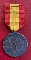España Medalla Franco Campo Leones  PG 881 - Autres & Non Classés