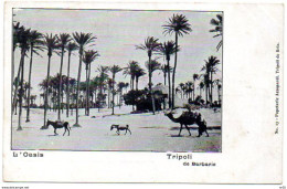 LYBIE - TRIPOLI De Barbarie  - L'Oasis - Libye