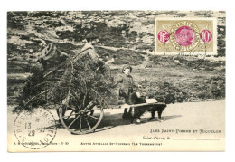 ILES SAINT PIERRE ET MIQUELON - Autre Attelage St. Pierrais, Le Terreneuve (2 Scans ) - Saint-Pierre-et-Miquelon