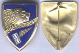 Insigne De La Compagnie D'Honneur N° 66 - Le Bourget - Forze Aeree