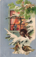 ANIMAUX - Oiseaux - Des Oiseaux Sur Une Branche De Sapin - Fenêtre - Noël - Carte Postale Ancienne - Vögel