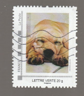 MONTIMBRAMOI CHIEN OBLITERE - Used Stamps