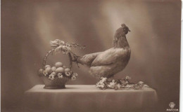 ANIMAUX - Poule - Une Poule Sur Une Table Avec Un Panier D'œufs - Fleurs - Carte Postale Ancienne - Birds