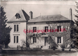 87- PANAZOL - CHATEAU DU PONT LAVAUD - Panazol