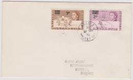 BRITISH ANTARCTIC TERRITORY>HALLEY BASE》Annigoni - Storia Postale