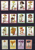 Sierra Leone 2  Séries  4 Et 12 Timbres  Champignon Neufs Impeccables** , Pilze,  Setas, Mushroom - Mushrooms