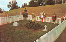 ETATS-UNIS - Arlington -  Tombe De John F. Kennedy - Cimetière National D'Arlington - Colorisé - Carte Postale - Other & Unclassified