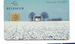 TELECARTE BELGACOM - [4] Sammlungen