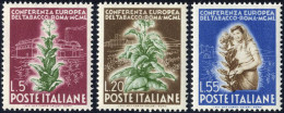 ** 1950, Tabacco, Serie Completa 3 Valori, Nuovi Con Gomma Integra, Sass. 629-631 / 120,- - Other & Unclassified