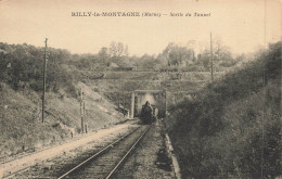 51 - MARNE - RILLY-LA-MONTAGNE - Sortie Du Tunnel - Chemin De Fer - Train - Superbe - 10537 - Rilly-la-Montagne