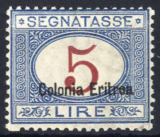 ** 1920, Segnatasse 5 Lire, Gomma Integra, S.22 - Erythrée