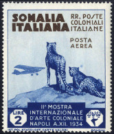 * 1934, Serie Di 12 Valori, Sass. 193-A6 / 100,- - Somalia