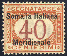 ** 1906, Segnatasse, 40 Cent., Firm. A. + E. Diena (S. 5 / 1000,-) - Somalie