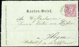 Cover "PLEISSING 7 / 12 / 86", Fingerhutstempel Auf Kartenbrief Von Ringersburg 6.12.1886 Nach Hoym, Seltener Kabinettab - Other & Unclassified