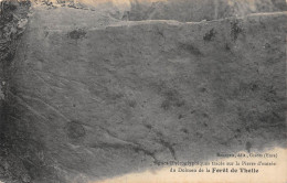 PIE-23-FRP-AR-5724 : FORET DE THELLE  OISE. DOLMEN - Dolmen & Menhirs