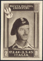 (*) 1946, Vittorie Polacche, 2 Z. Bruno Nero Non Dentellato Su Carta Bianca Spessa, Senza Gomma Come Emesso, Sass. 16A - Levant (Turkey)