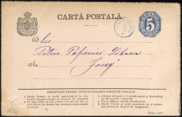 Cover 1889, Ganzsachenkarte Zu 5 B Blau Von Tirgu-Frumos (Fingerhut Blau) Am 6.4. Nach Jassy, Mi. P13 - Otros & Sin Clasificación