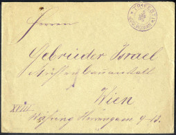 Cover 1895, Brief Von Trifesti Am 5.1. Nach Wien Frankiert Rückseitig Mit Zwei 15 B Rot , Mi. 104 - Otros & Sin Clasificación