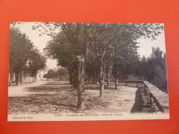 UZES  PROMENADE DES MARRONNIERS   ALLEE DES SOUPIRS - Uzès