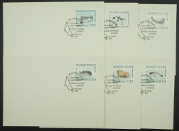 1991 Grönland; Serie Robben Auf FDCs, MiNr. 211/16, ME 15,- - Sonstige & Ohne Zuordnung