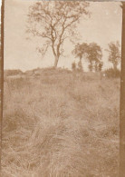 Photo 14-18 Secteur STEENSTRAAT (Steenstrate, Bikschote) - Une Vue (A252, Ww1, Wk 1) - Langemark-Poelkapelle