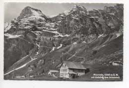 ISENTHAL Musenalp Mit Aufstieg Zum Urirotstock - Isenthal