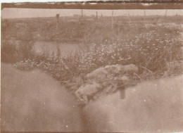 Photo 14-18 Secteur STEENSTRAAT (Bikschote) - Une Vue De Nos Tranchées, Le Champ De Bataille (A252, Ww1, Wk 1) - Langemark-Pölkapelle