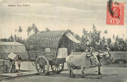 SRI LANKA Cariole Attelée - Sri Lanka (Ceylon)
