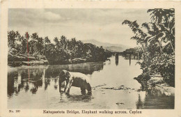 KATUGASTOTA  Bridge éléphant Au Bain - Sri Lanka (Ceylon)