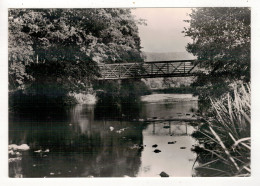 DAVERDISSE - La Lesse Et Le Pont De Mohimont, Près De La Ferme Ou Résida Jadis Le Prince Pierre Bonaparte. - Daverdisse