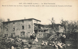 Pélussin * Le Mas Fontanès * Manoir De Noble Jean Le Blanc - Pelussin