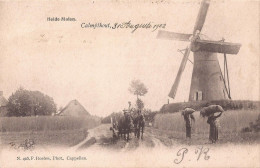 HEIDE KALMTHOUT 1902 MOLEN PAARD EN WAGEN - MOOIE ANIMATIE - HOELEN KAPELLEN 405 - Kalmthout