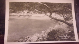 SPAIN ESPAGNE ALCUDIA CARTE PHOTO MASCARO - Sonstige & Ohne Zuordnung