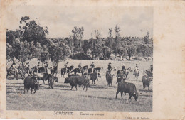 POSTCARD PORTUGAL - SANTARÉM - TOUROS NO CAMPO - Santarem