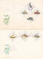 ANIMALS, REPTILES, SNAKES, LIZARDS, COVER FDC, 2X, 1965, ROMANIA - Serpenti