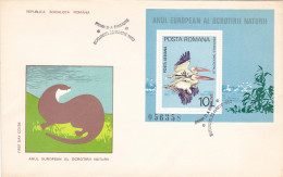 ANIMALS, BIRDS, PELICANS, NATURE PROTECTION, COVER FDC, 1980, ROMANIA - Pelícanos