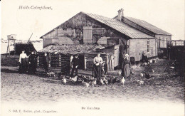 HEIDE KALMTHOUT 1906 STEMPEL CAMBUS IN DE DUINEN OP POSTKAART DE CAMBUS - HOEVE BOERDERIJ KIPPEN - HOELEN KAPELLEN 549 - Kalmthout