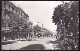 Murcia. *Avenida De Colón* Nueva. - Murcia